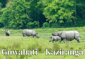 Guwahati – Kaziranga