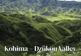 Nagaland